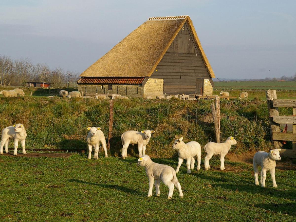 דה קוקסדורפ Fantastic Bungalow On Texel מראה חיצוני תמונה